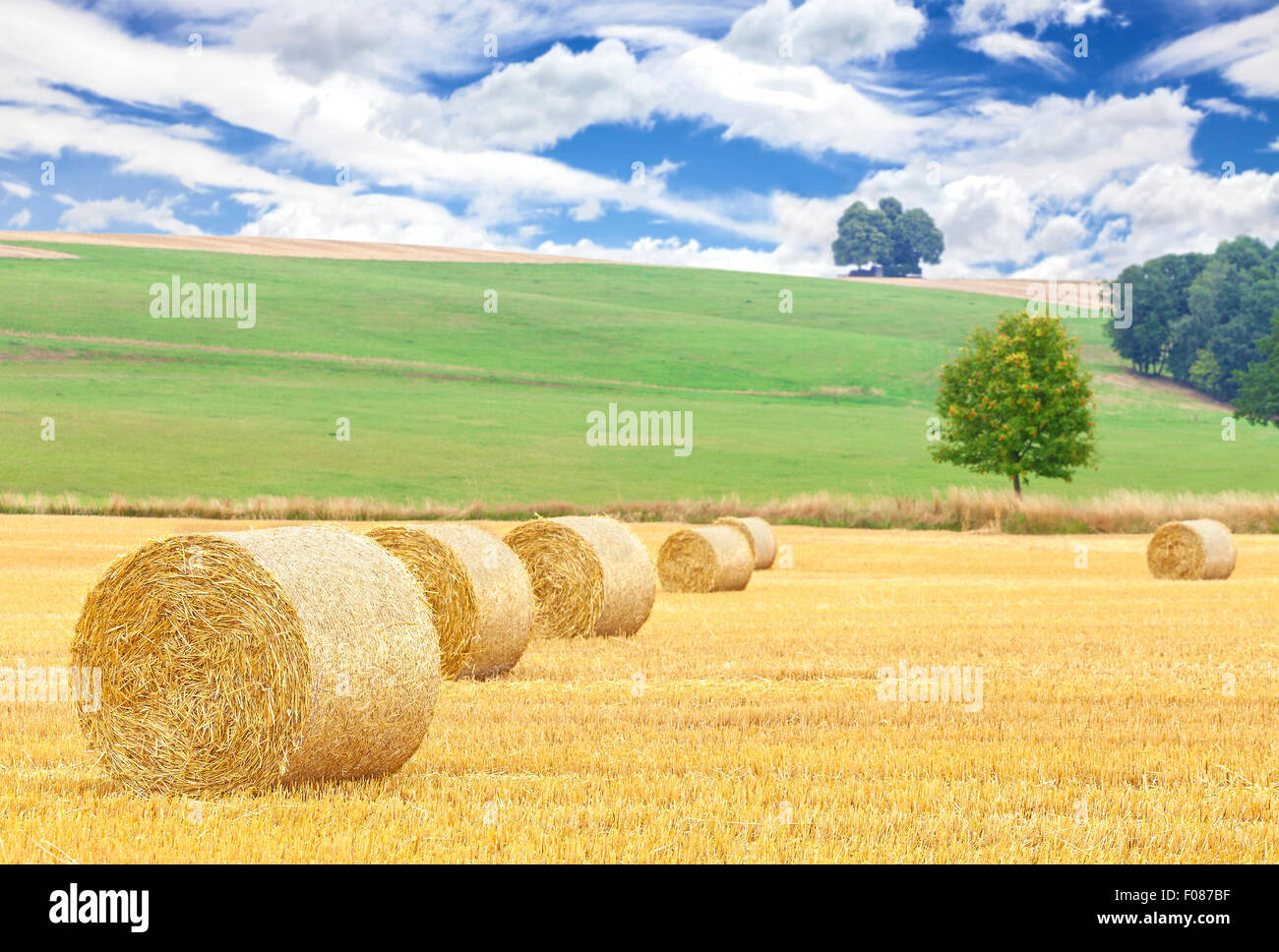 Hay bales on harvested field, summer nature background Stock Photo - Alamy