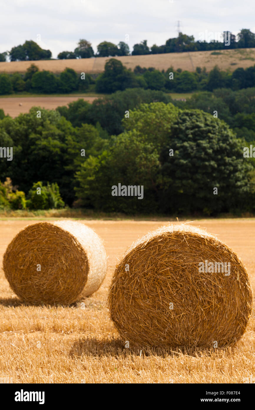 Wheat straw hires stock photography and images Alamy