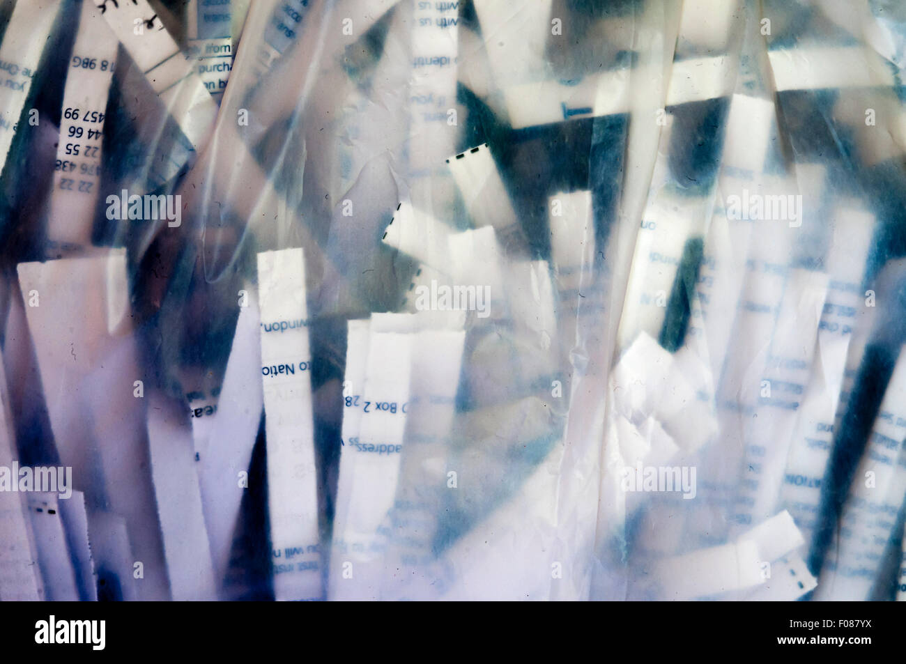 Securely shredded paper seen through the side of a transparent plastic bag. Stock Photo