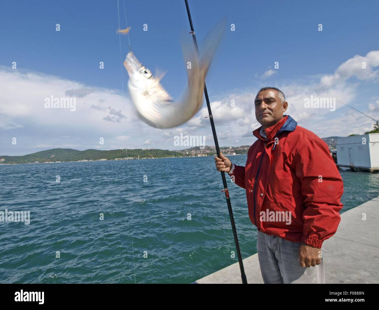 fishing rod with fish