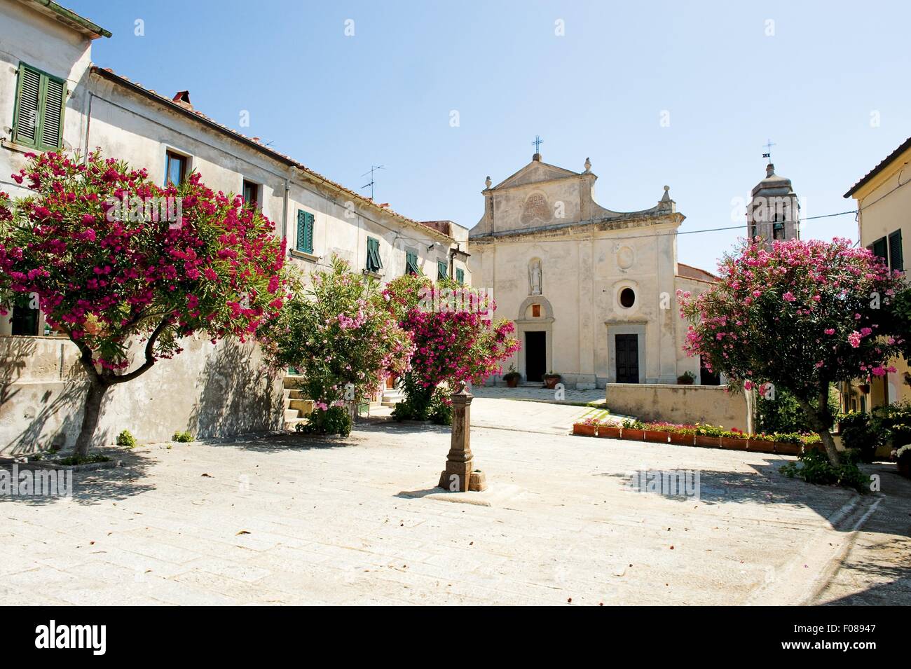 Facade of Sant'ilario with flowering shrubs in San Polo d'Enza, Tuscany, Italy Stock Photo