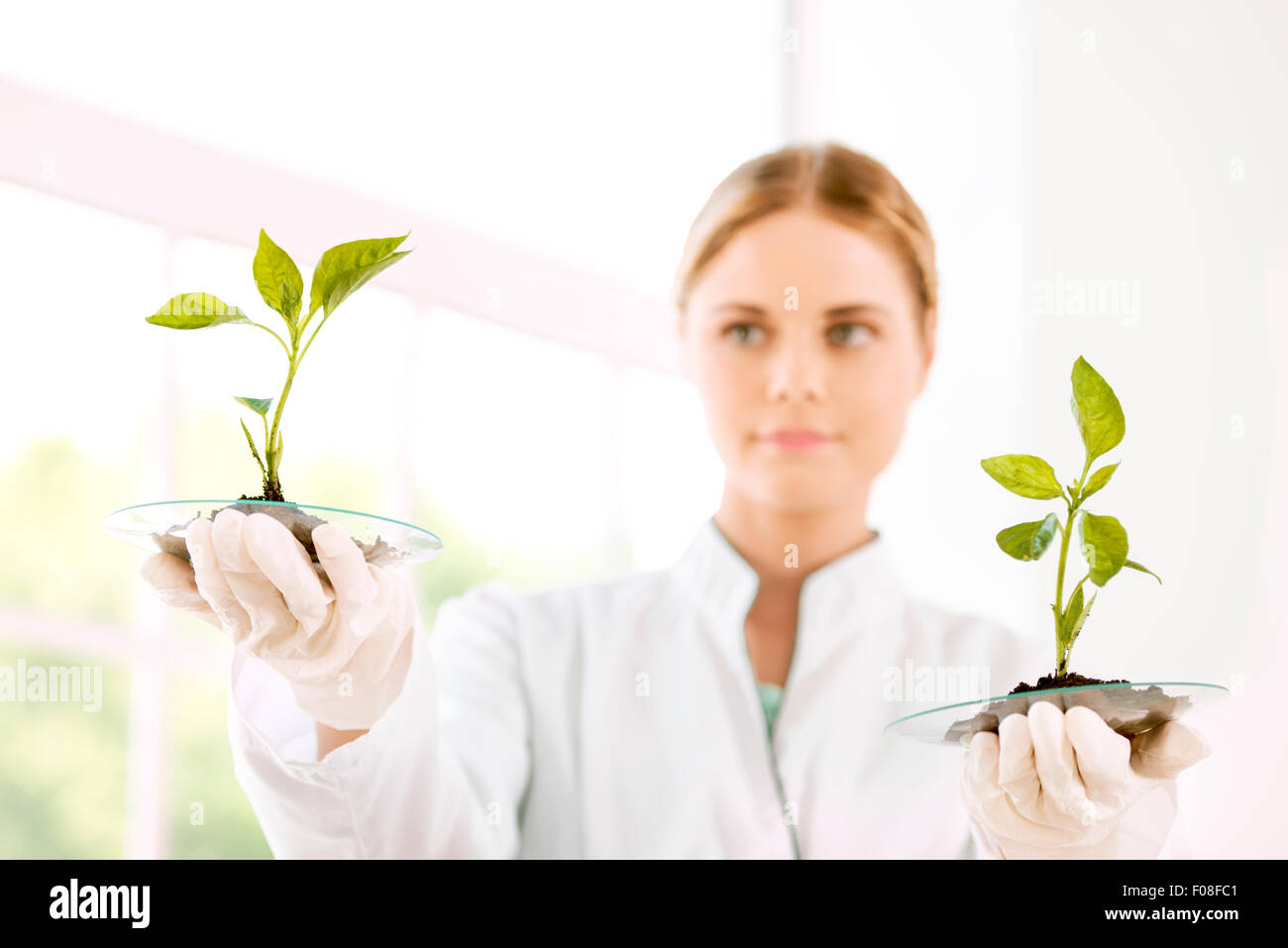 Young biologist experimenting in laboratory Stock Photo