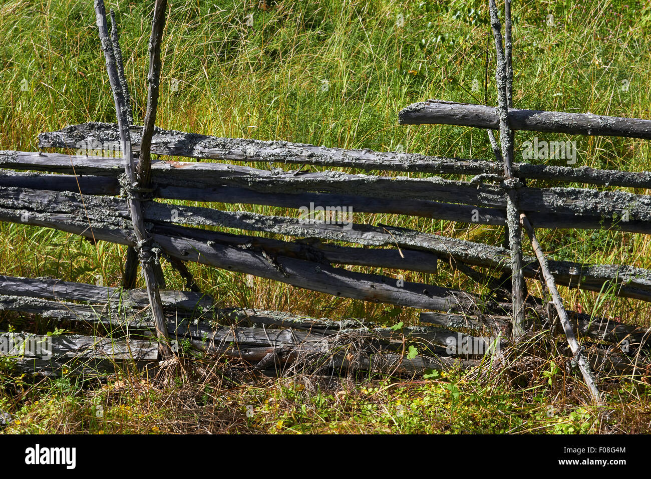 Old pasture fence hi-res stock photography and images - Alamy