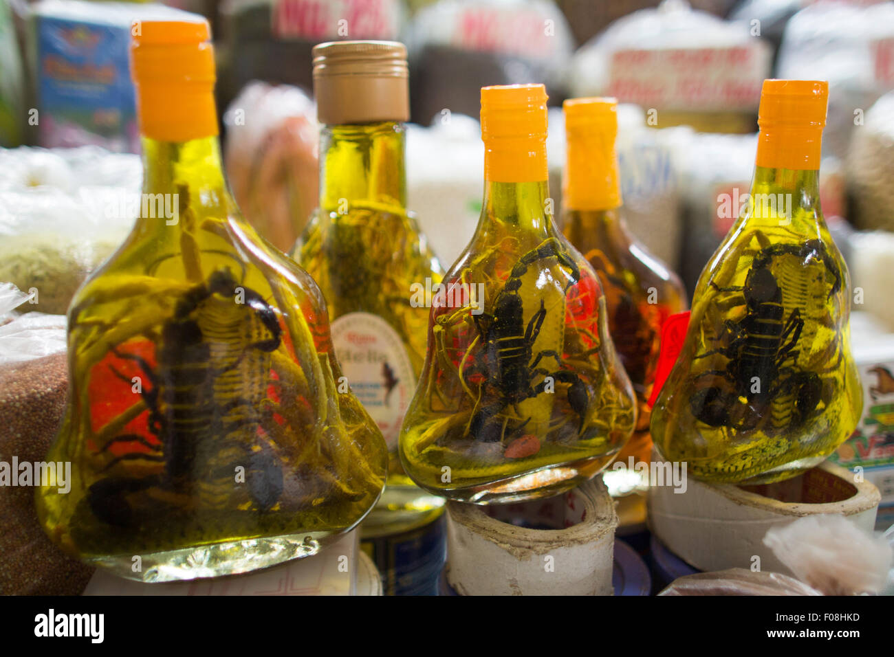 preserved scorpion in liquor, Vietnam Stock Photo