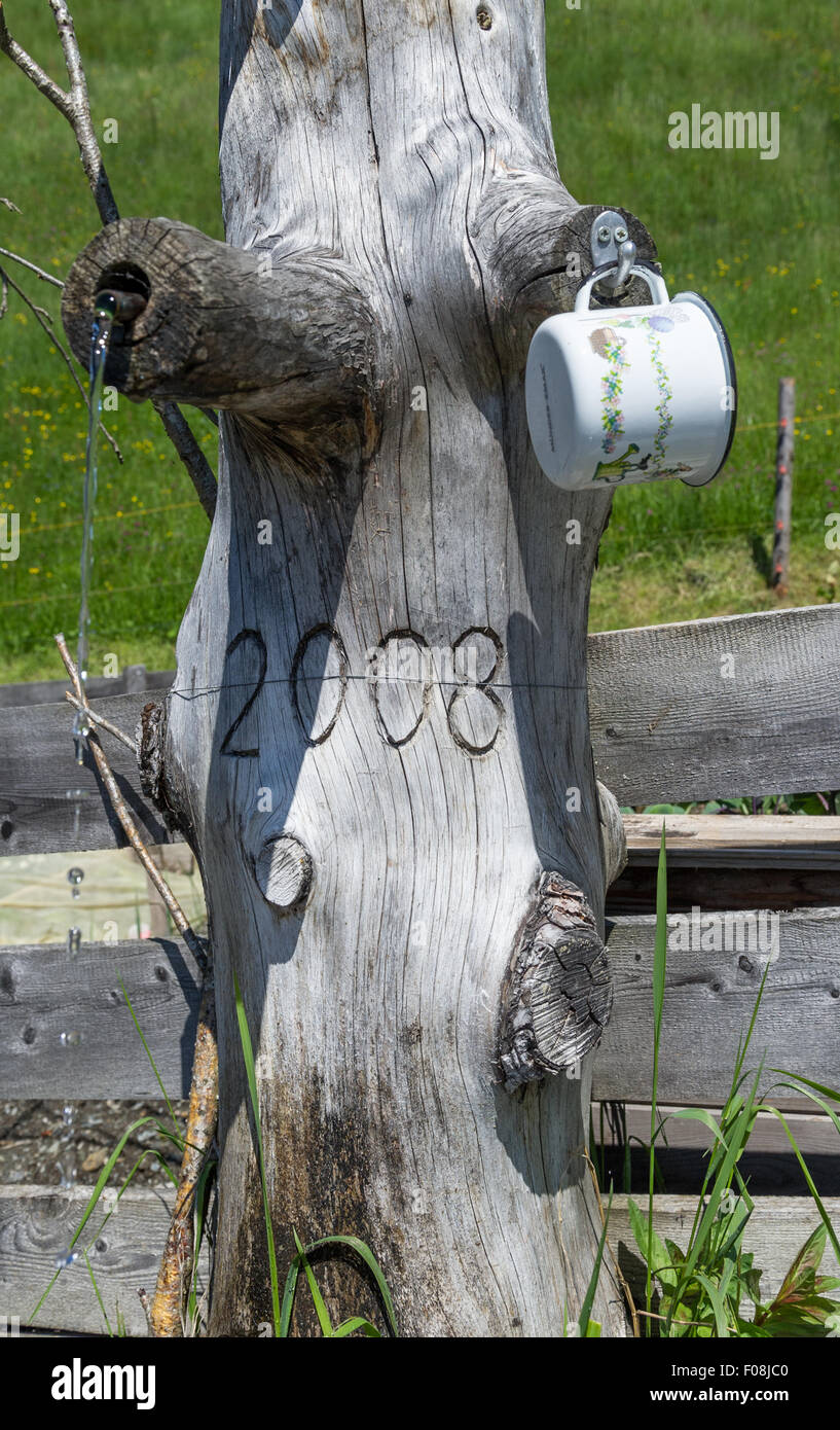 Old tree trunk used as a water fountain for walkers to drink from in the Austrian alps. Stock Photo