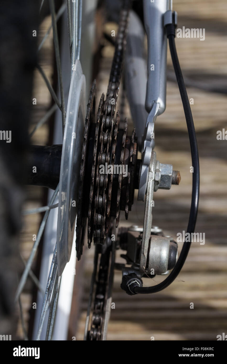 Cycle rear chain sprocket Stock Photo Alamy