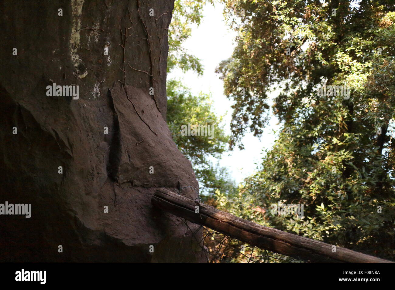 Fence with blurred background in a forest Stock Photo - Alamy