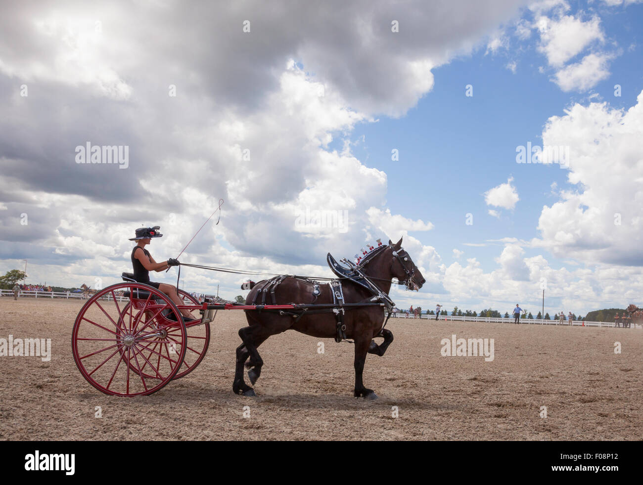 Draft Horse Exhibition and Show in Ivy;Ontario;Canada;Essa Canadian National Draft Horse