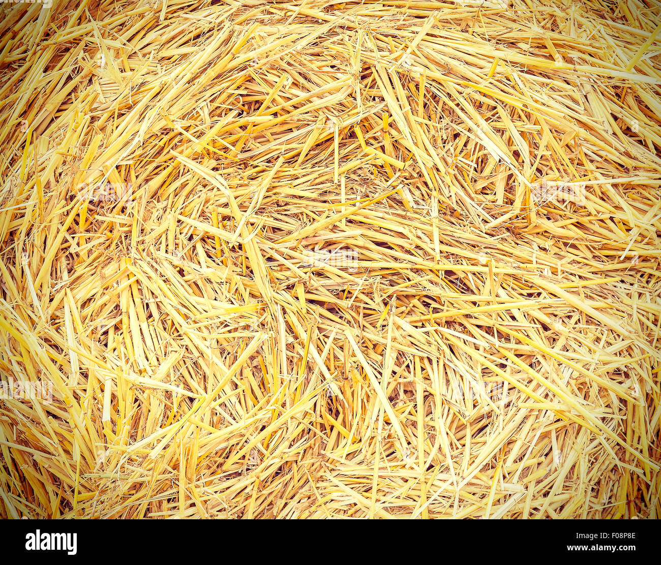 Abstract nature background made of dry straw bale. Stock Photo