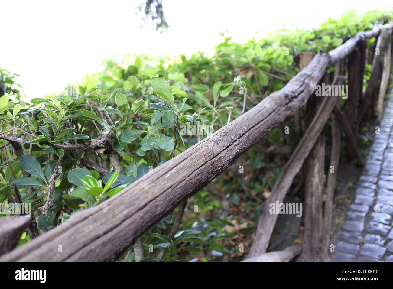 Fence with blurred background in a forest Stock Photo - Alamy