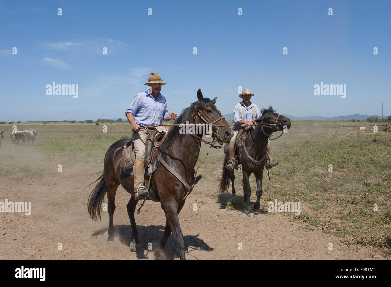 Men wearing cowboy hat riding horse on road Stock Photo