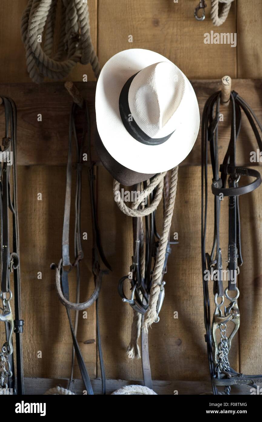 Horse bridles white hat hanging hires stock photography and images Alamy