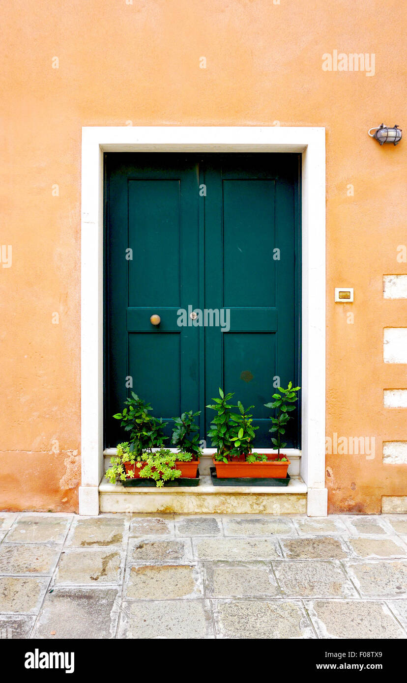 entrance green door of old building house in Venice, Italy Stock Photo