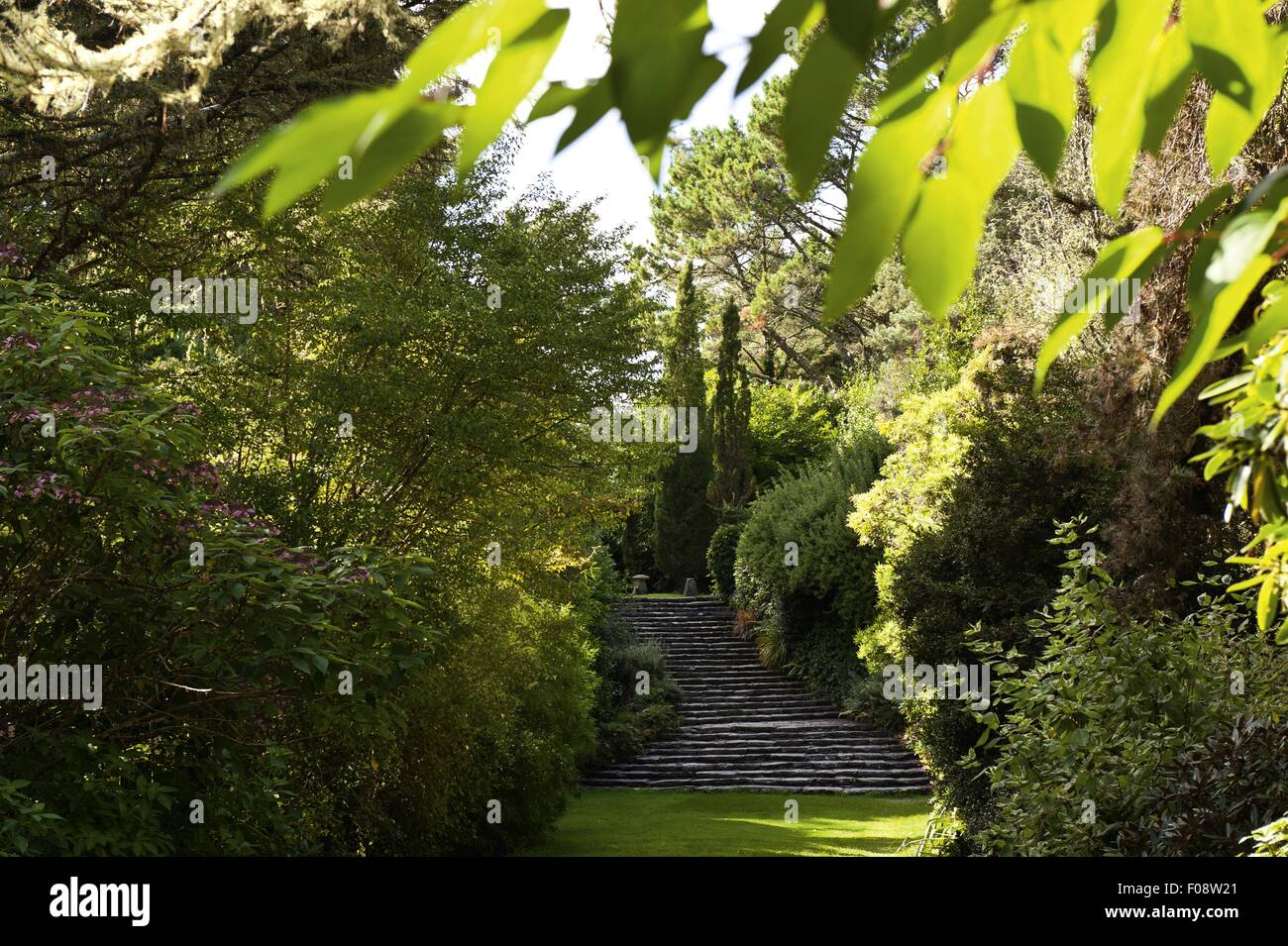 Ilnacullin garden stairs to Greek temple, Ireland Stock Photo