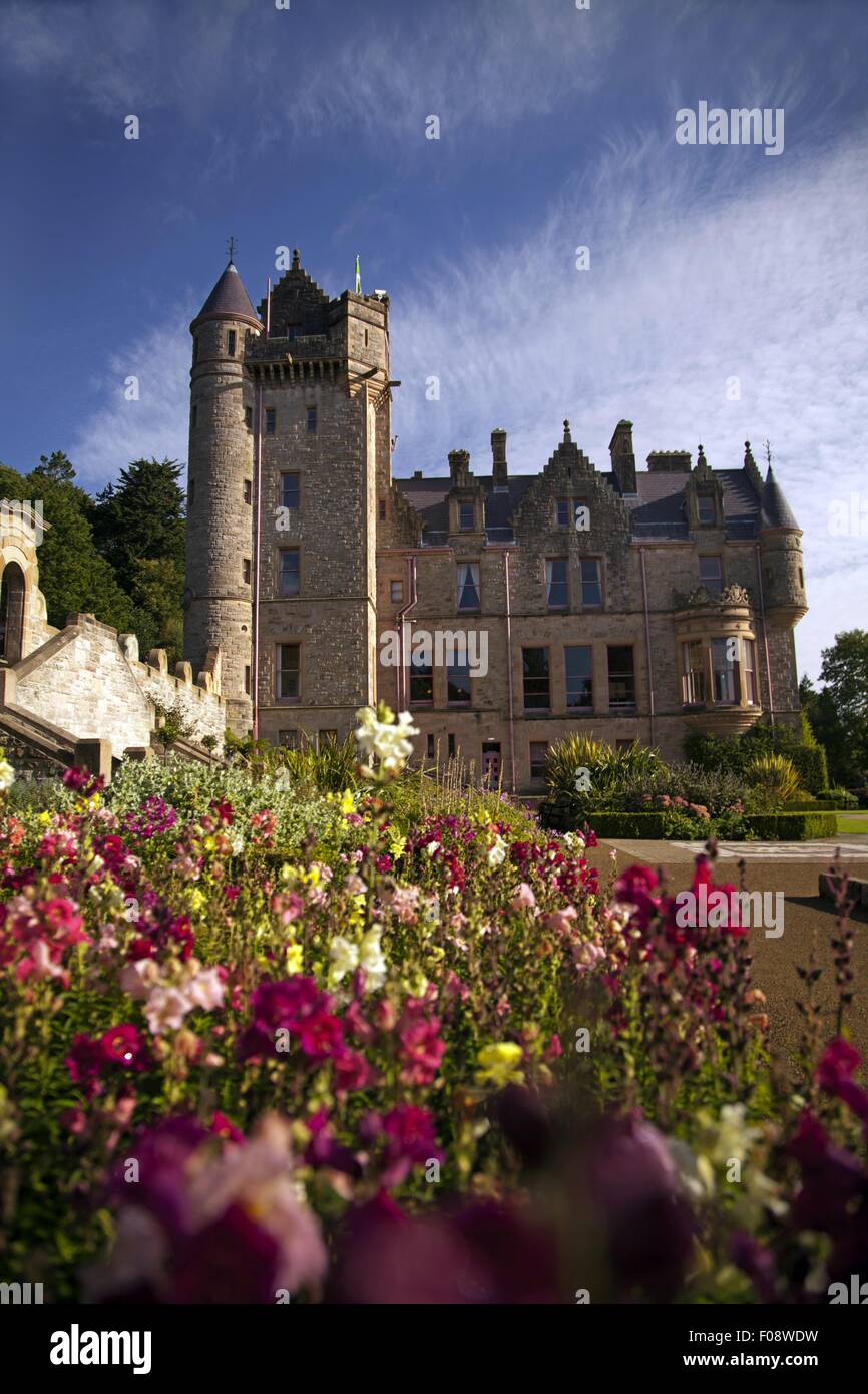 Colourful flowers in garden of Belfast Castle, Ireland, UK Stock Photo