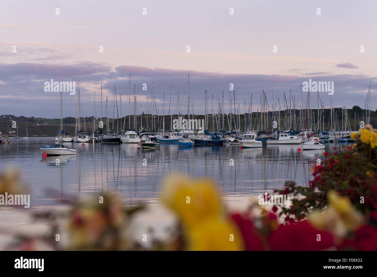 View of sailboats moored at Kinsale harbour at sunset, Ireland, UK Stock Photo
