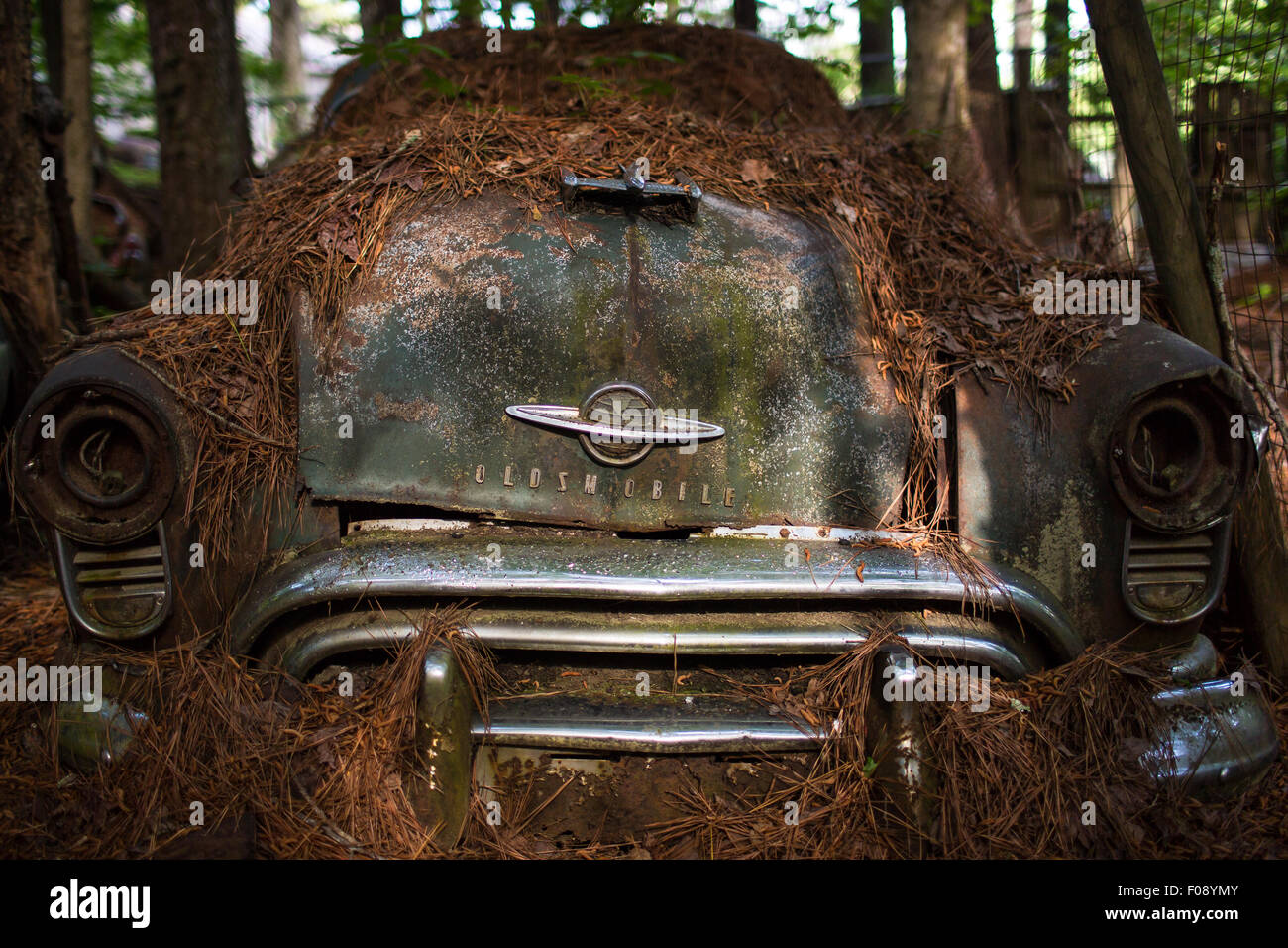 Abandoned antique vehicles hi-res stock photography and images - Alamy