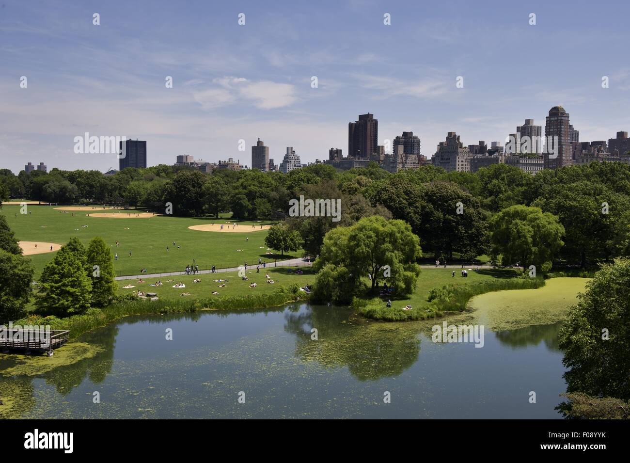 View of pond in Central Park, New York, USA Stock Photo - Alamy