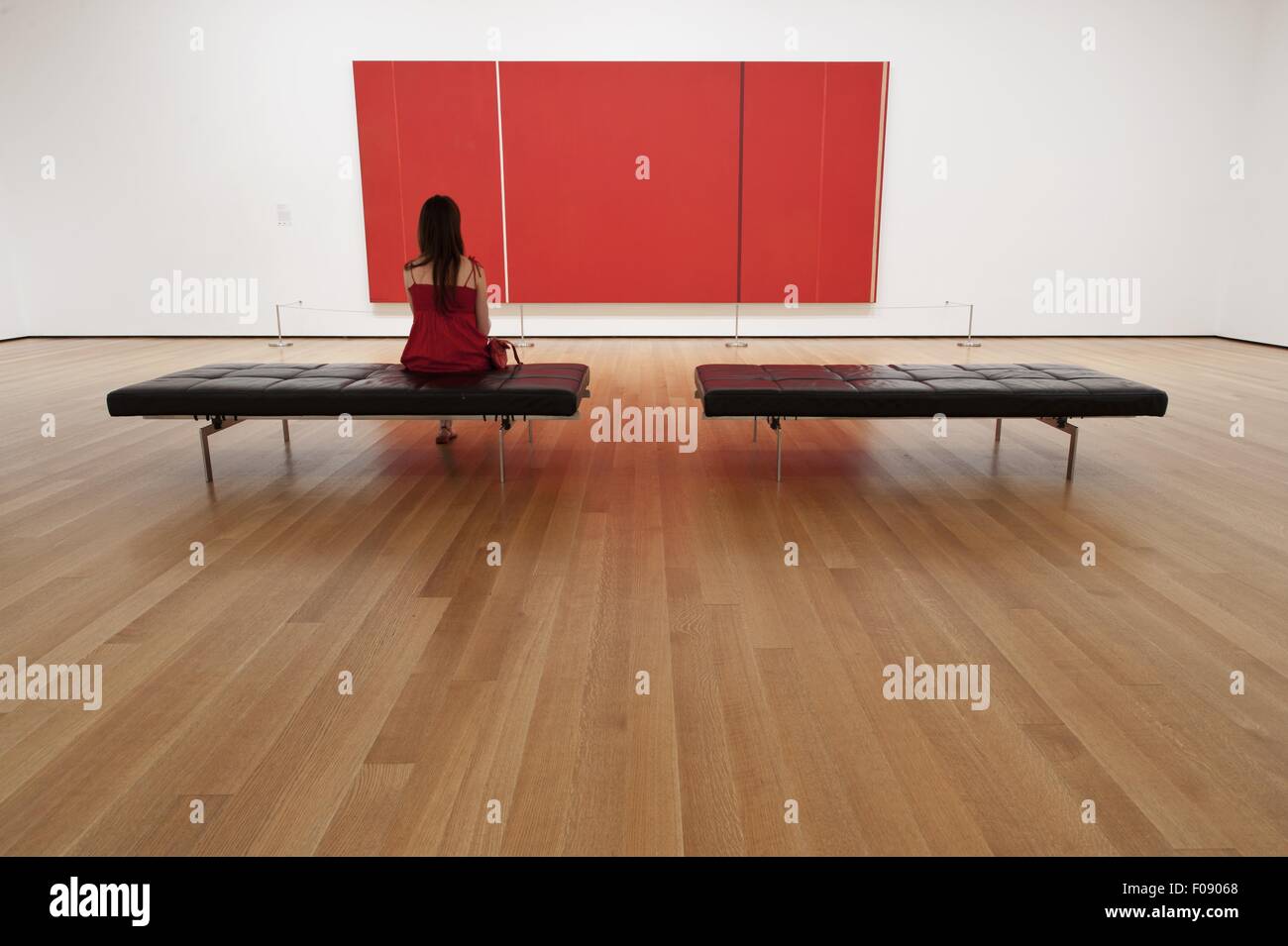 Rear view of woman sitting and looking red image at Museum of Modern Art, New York, USA Stock Photo