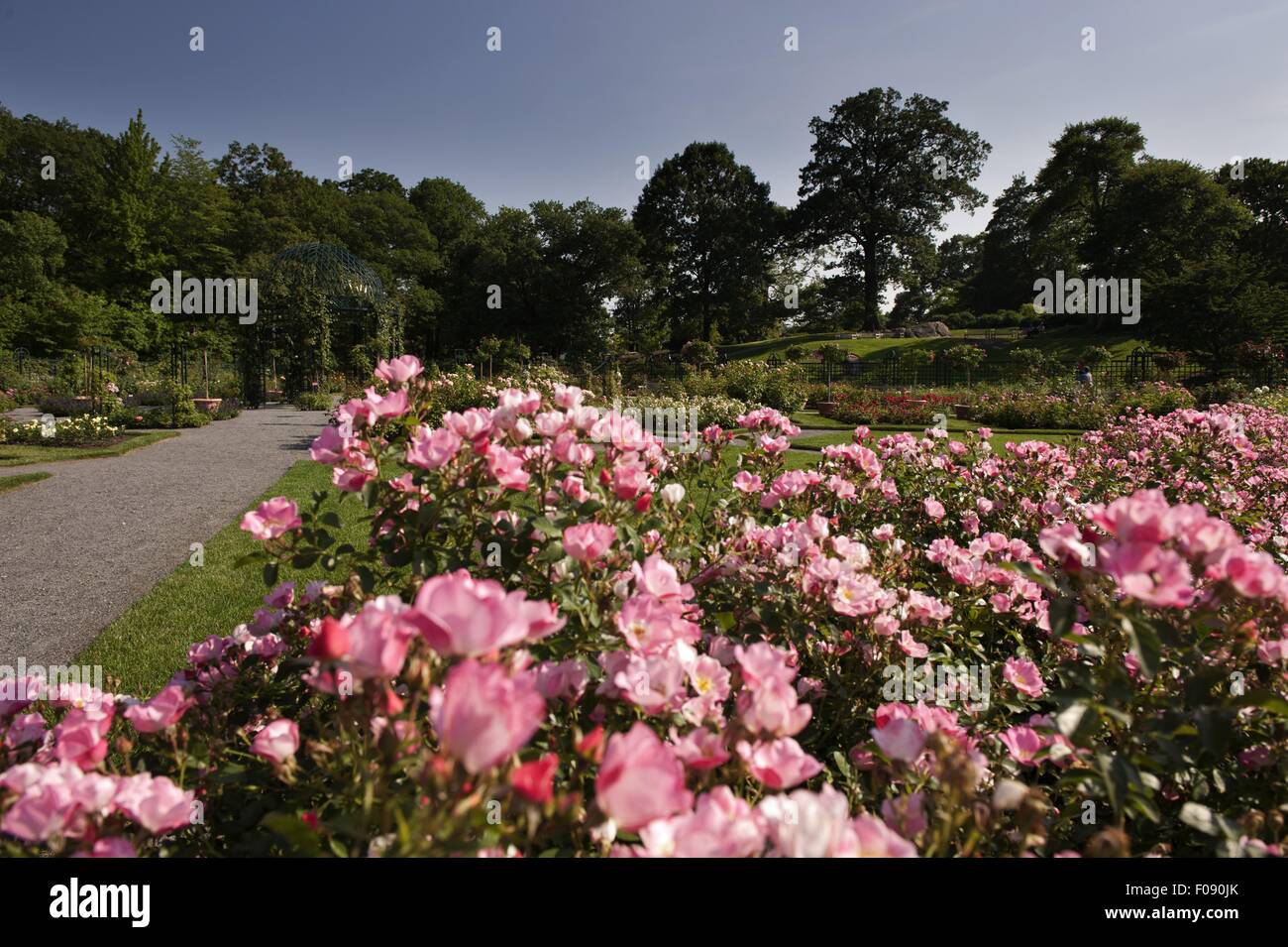 View of New York Botanical Garden in New York, USA Stock Photo