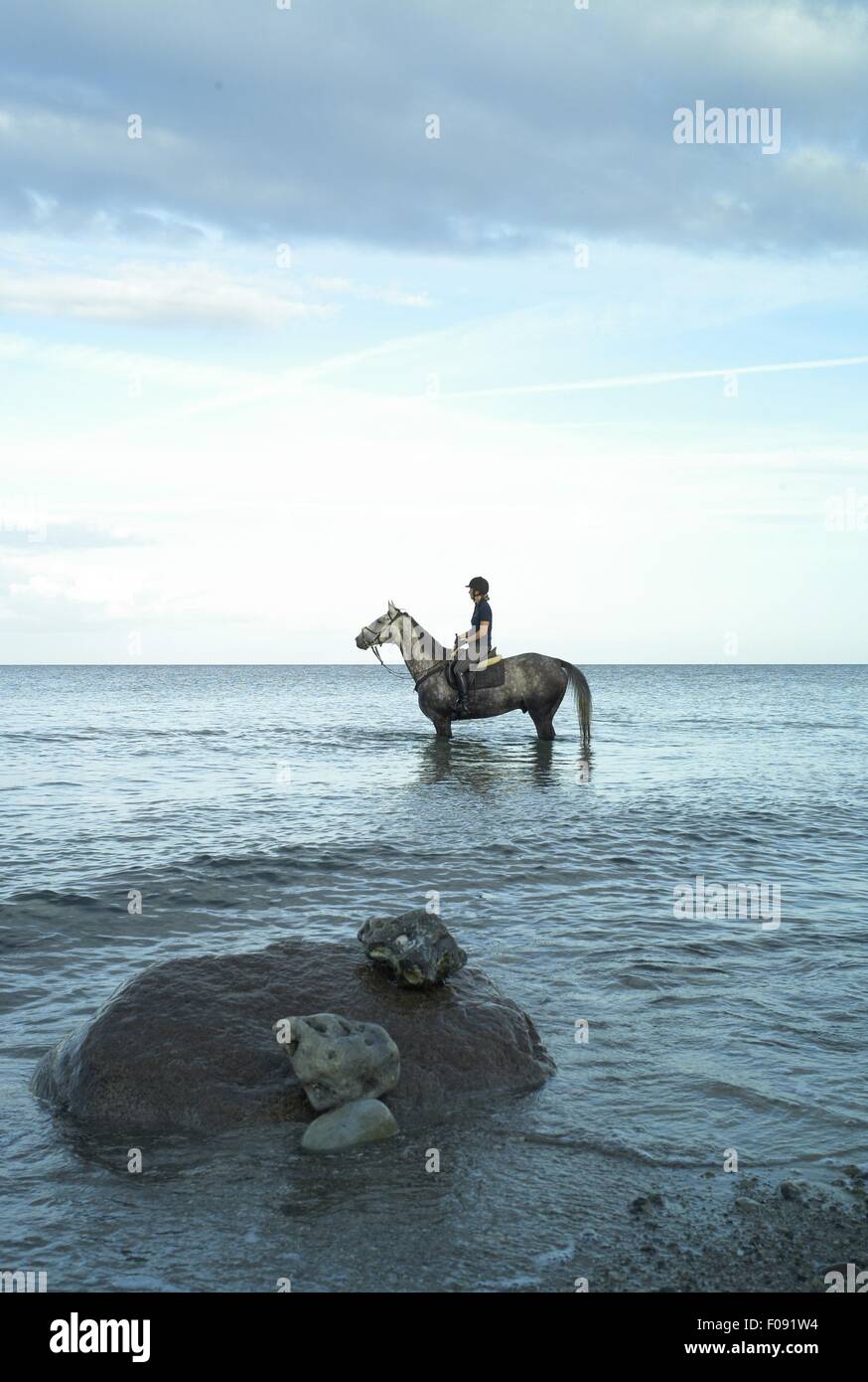 Rider on horse in the water at Baltic Sea Coast, Fehmarn, Ostholstein, Germany Stock Photo