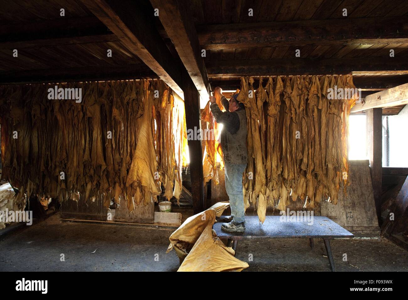 Tanner leather hides hanged in Ulrich, Augsburg, Germany Stock Photo