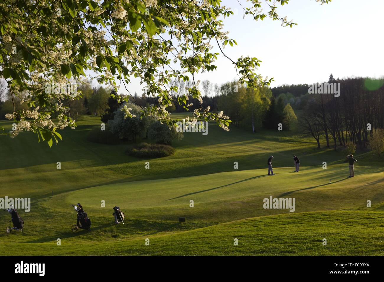 People playing at perennials golf course in Anhausen at Augsburg, Bavaria, Germany Stock Photo