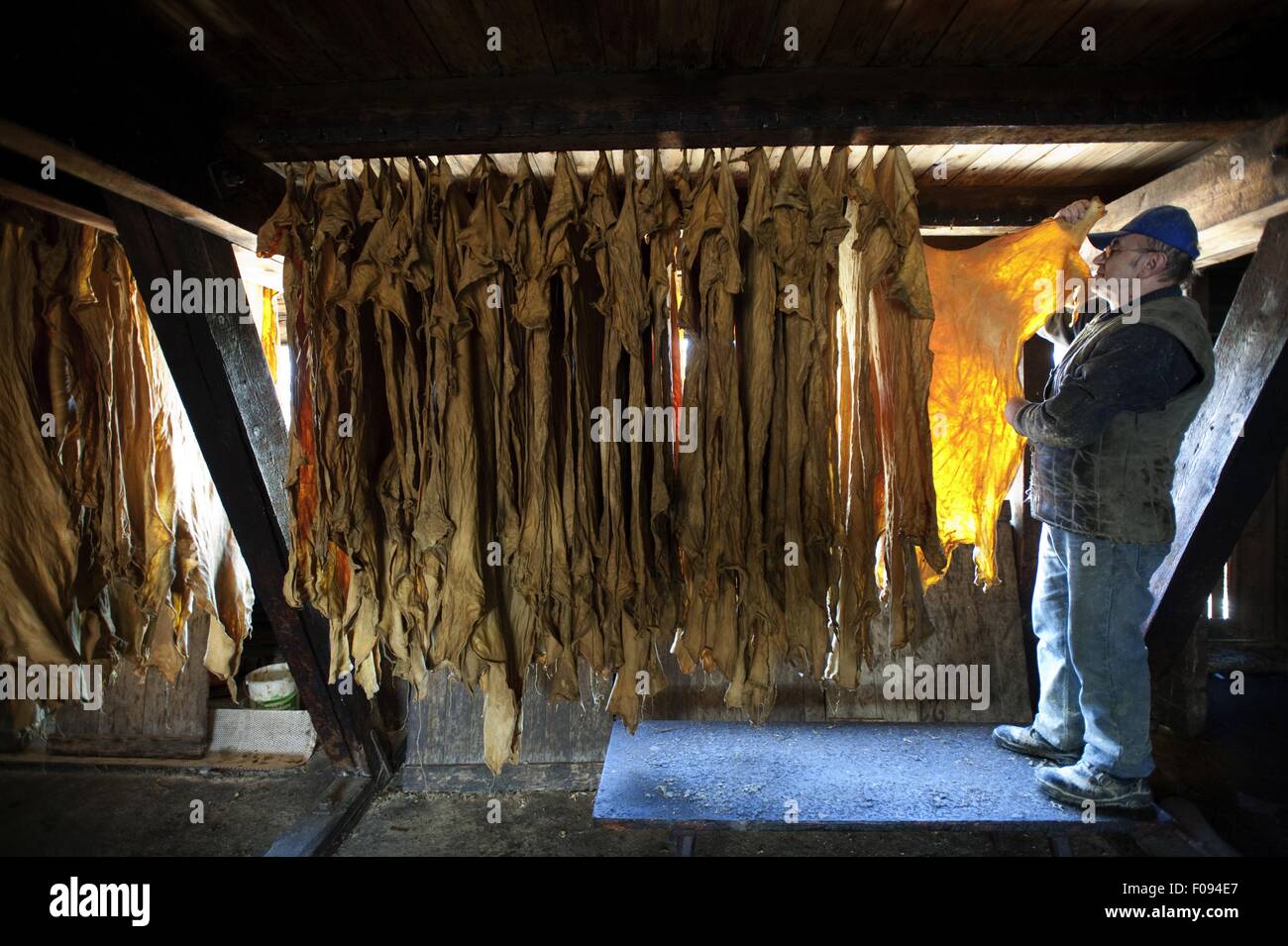 Tanner leather hides hanged in Ulrich, Augsburg, Germany Stock Photo