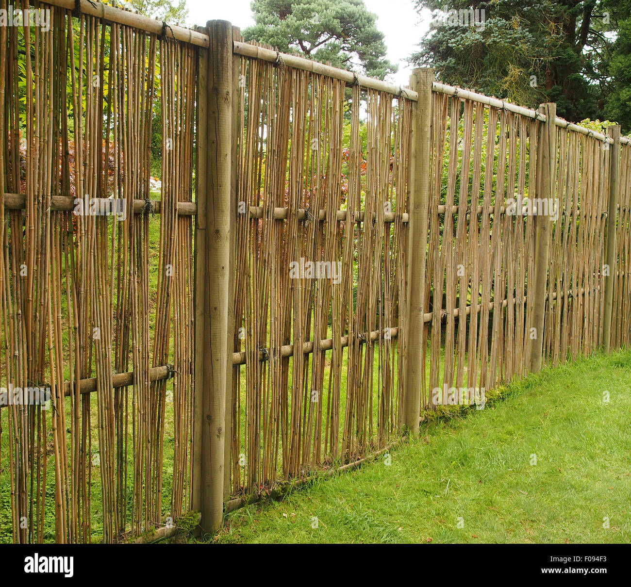 Environmentally friendly fence constructed simply of bamboo and string. Stock Photo
