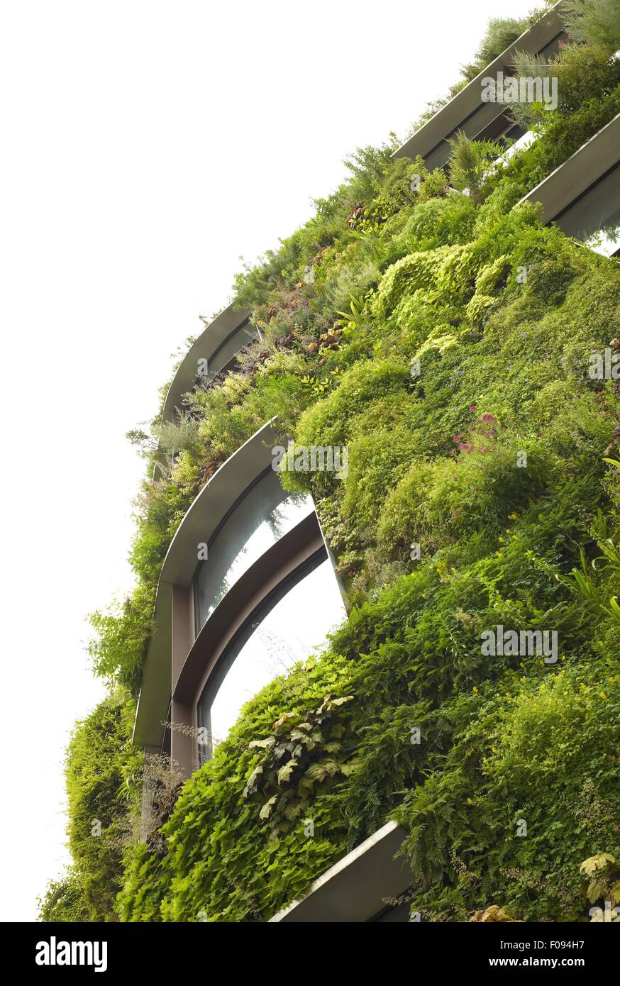Overgrown house plants hi-res stock photography and images - Alamy
