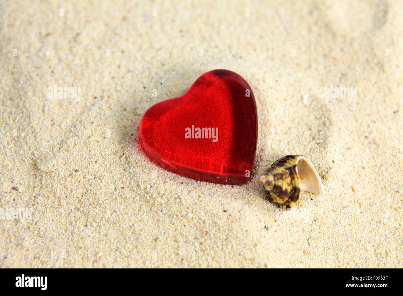 Heart Behind Shell Red heart and sea shell on sand Stock Photo - Alamy