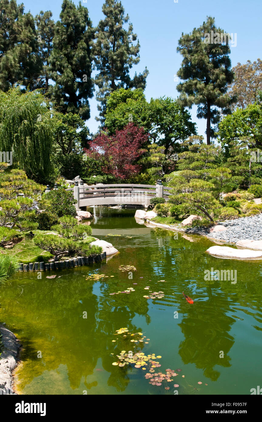 The Earl Burns Miller Japanese Garden at the campus of California State University, Long Beach, California Stock Photo