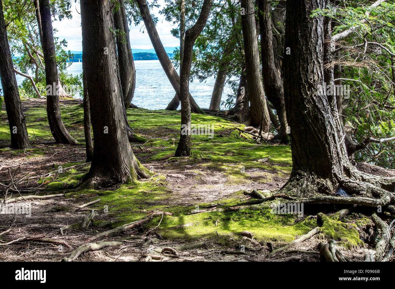 Point Au Roche State Park Stock Photo Alamy