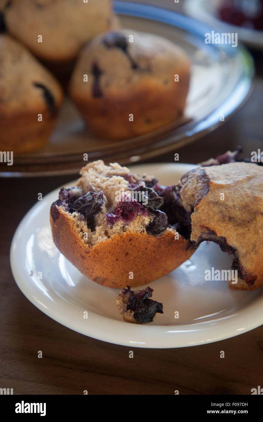 A whole blueberry muffin, torn apart, sits on a white plate on a dark wood tabletop.  A tray of muffins along sits in the backgr Stock Photo