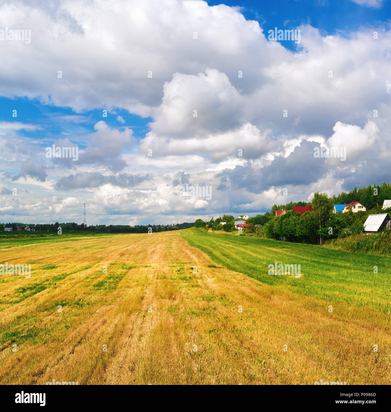 Field of cut grass and bright blue sky with cumulus clouds. Rural ...