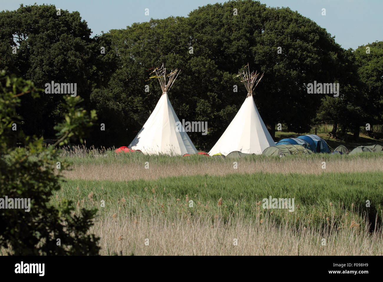 Tipi or Tepee campsite near Chichester Marina in West Sussex, England. Stock Photo