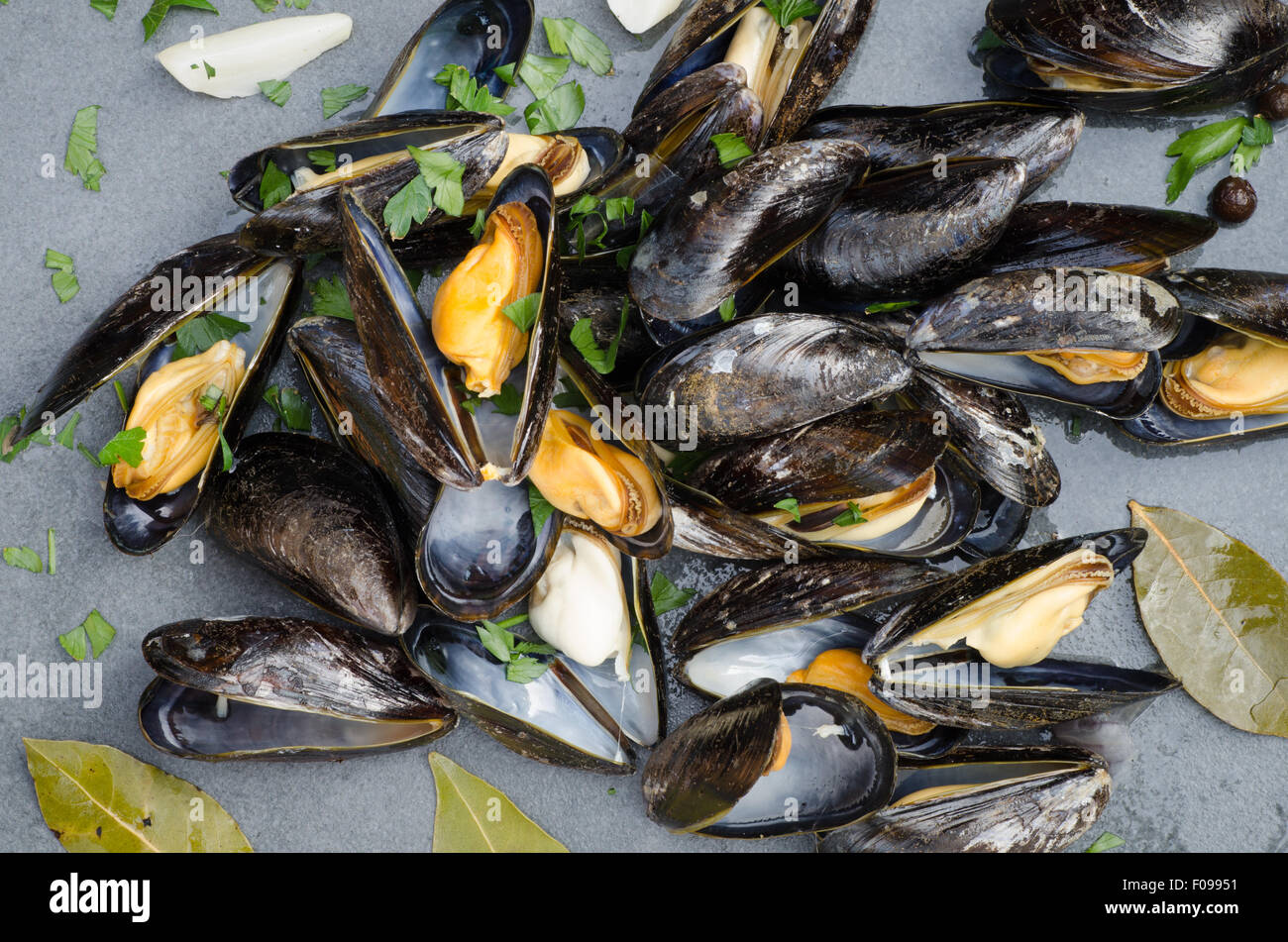 closeup to tasty boiled mussels Stock Photo