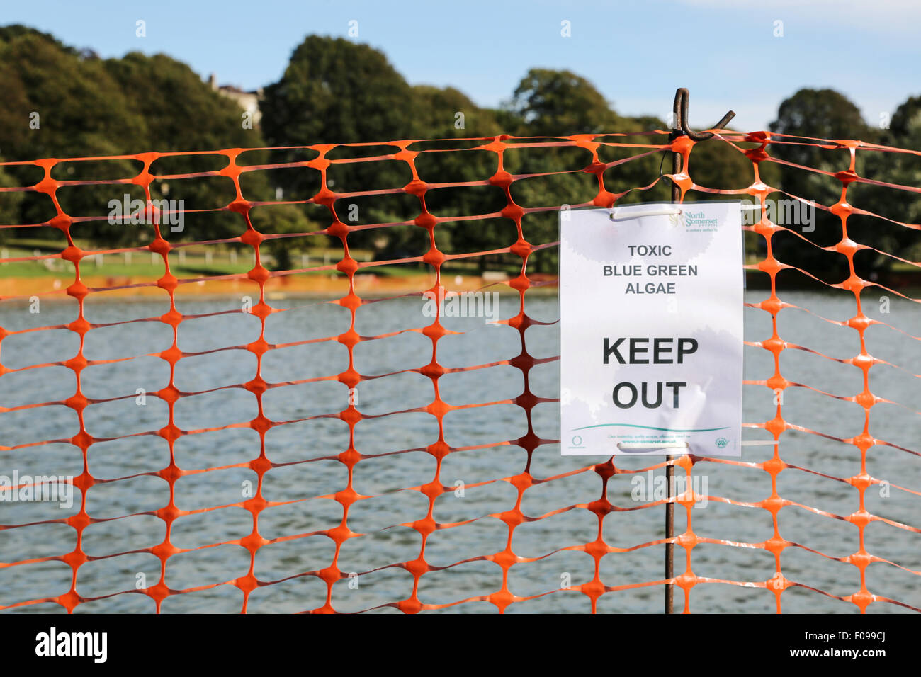 Portishead, North Somerset, UK, Monday 10th August 2015. A local marine lake, popular for boating on by locals and day trippers, is fenced off to the public, by the local council, after high concentrations of toxic blue-green algae are found in the water.  The toxin can prove fatal to pets drinking the water. A particular problem here as it's a popular area for dog walkers. The risk to humans from the toxin comes mainly from external exposure leading to skin rashes, lesions and blisters. Credit:  Stephen Hyde/Alamy Live News Stock Photo