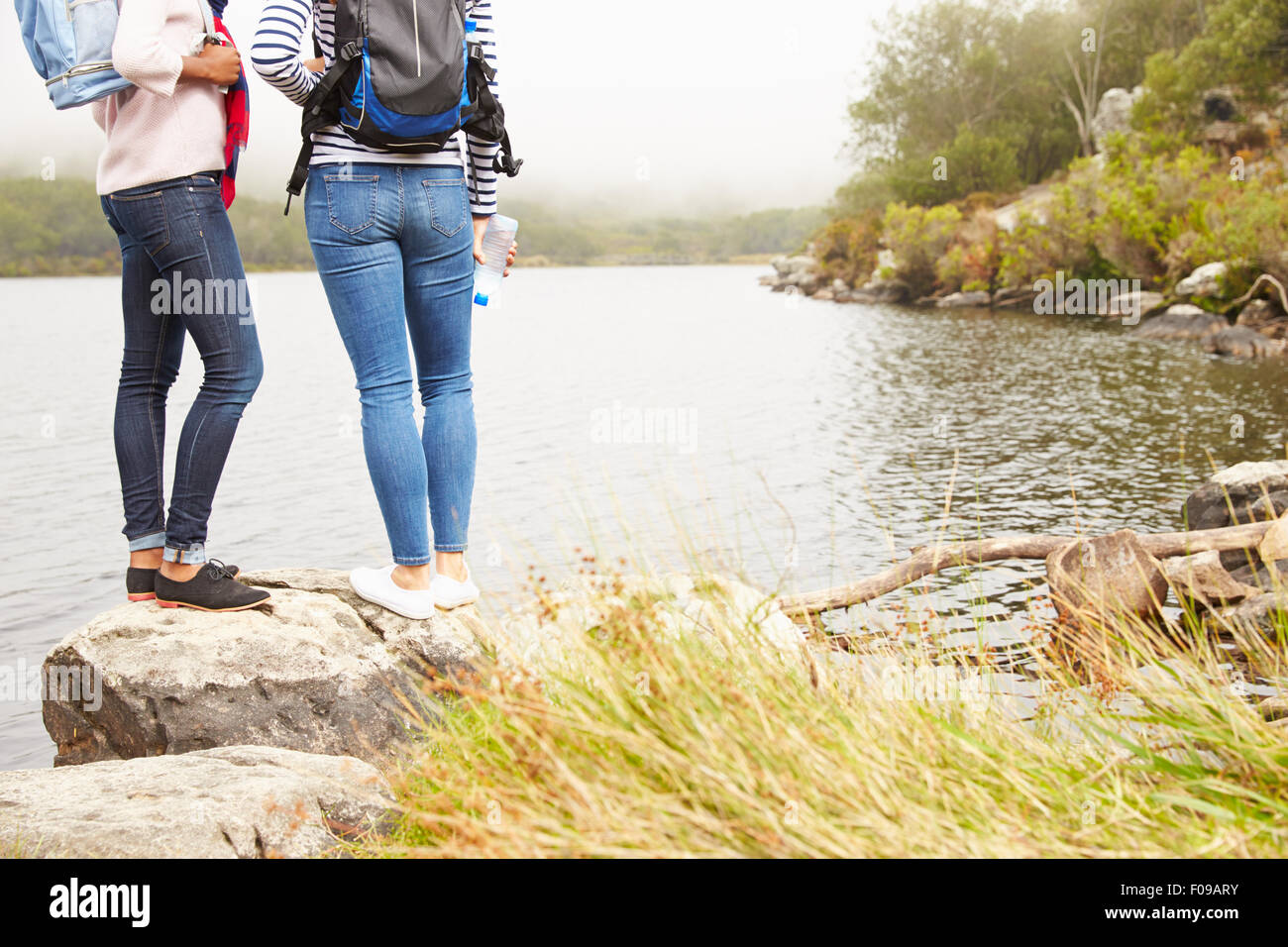 Two friends standing by the edge of a lake, admiring the view Stock ...