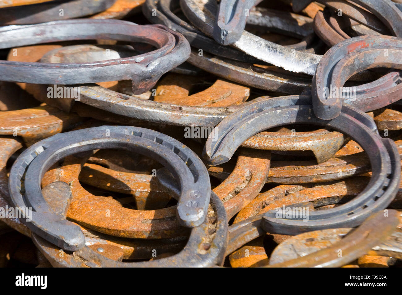 Horseshoe [made of metal] hires stock photography and images Alamy