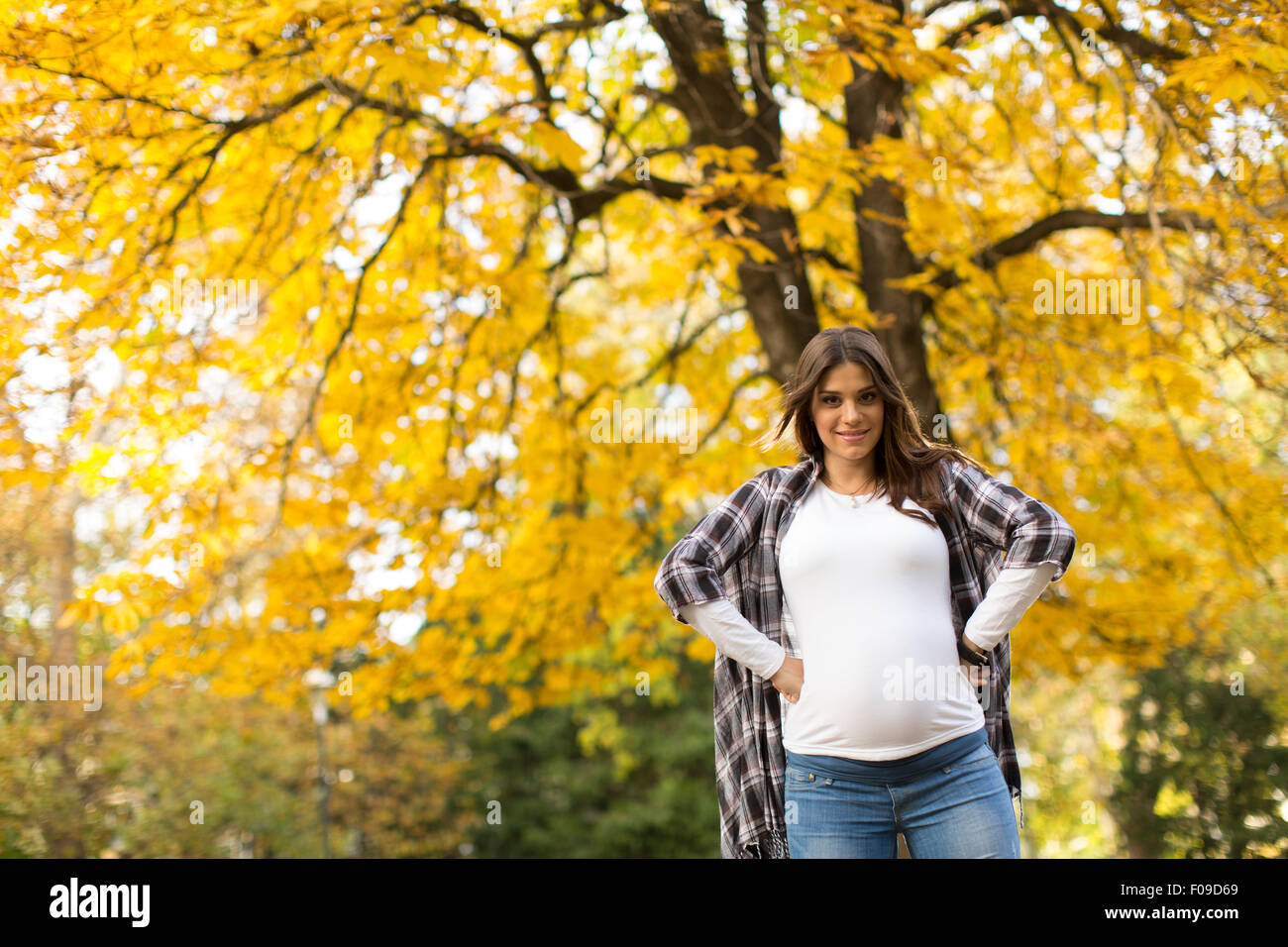 Young pregnant woman in the autumn park Stock Photo - Alamy