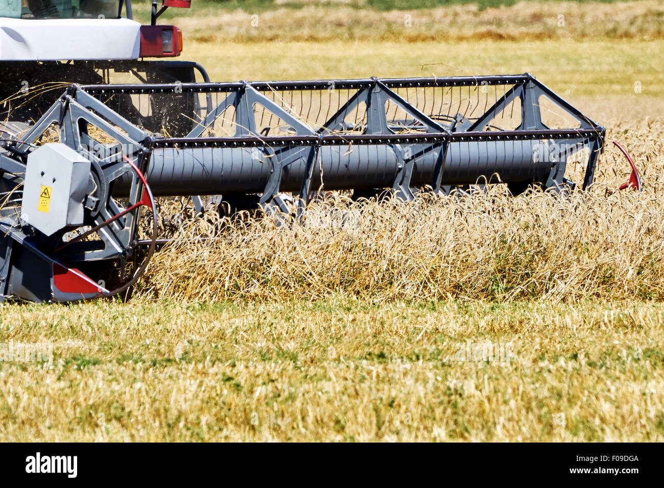 Harvesting wheat on a hot summer day Stock Photo - Alamy
