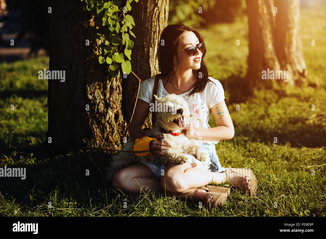 The girl with dog sit on a grass Stock Photo - Alamy