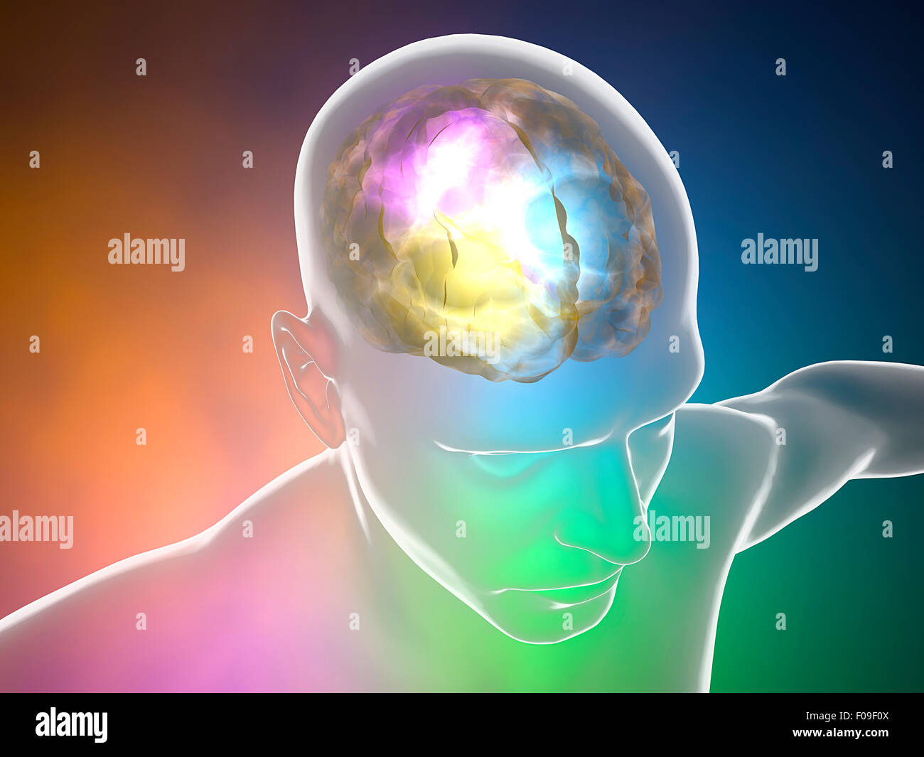 Human anatomy of brain neurons on colorful background Stock Photo