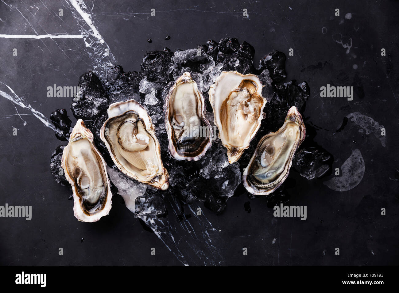 Opened Oysters on dark marble background with ice Stock Photo