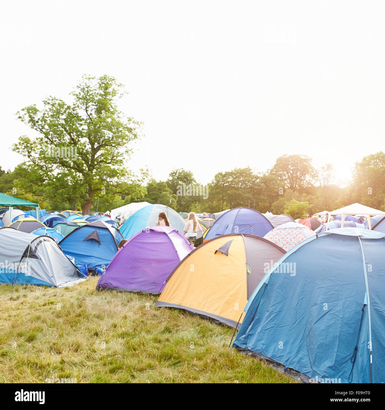 Tents on a music festival campsite Stock Photo