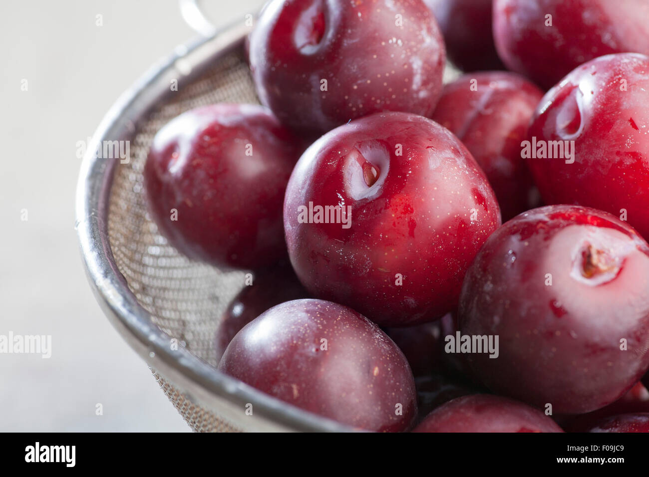 Washed Ripe Plums Stock Photo