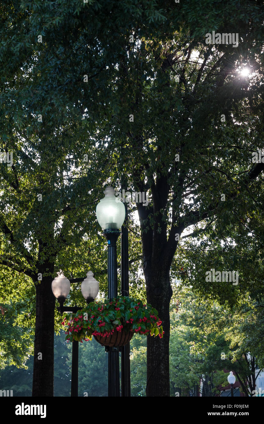 Lush summer foliage along the park-like Main Street of downtown Greenville, South Carolina. USA. Stock Photo