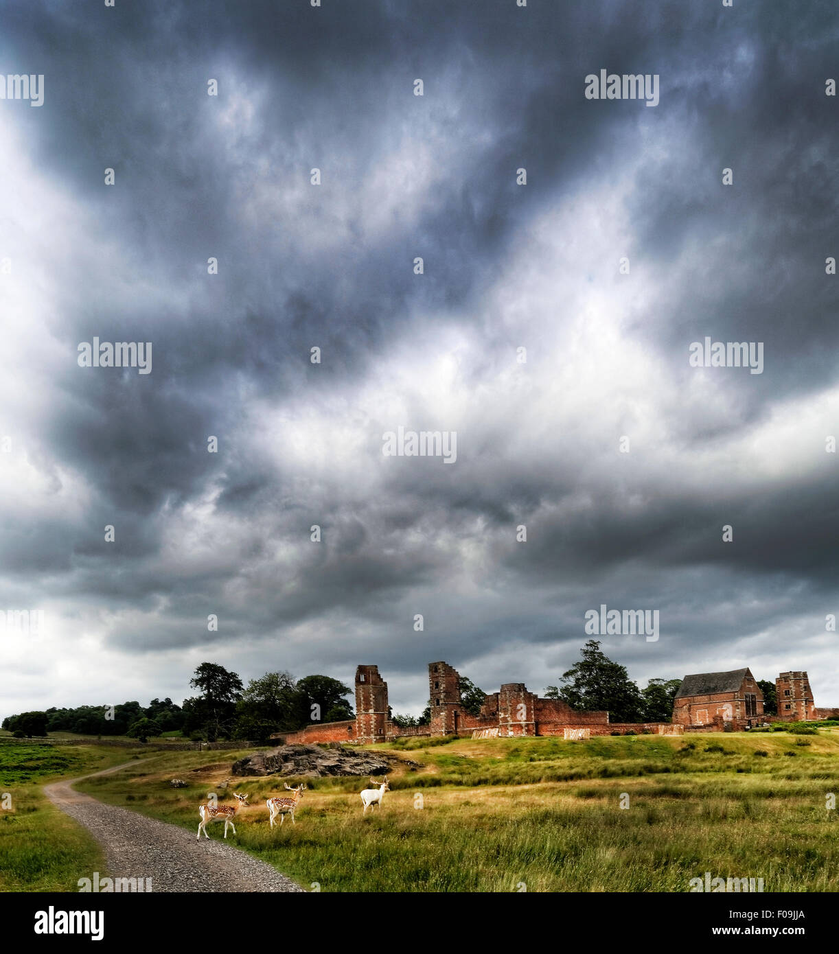 Bradgate Park is a public park in Charnwood Forest, in Leicestershire, England, northwest of Leicester. Stock Photo