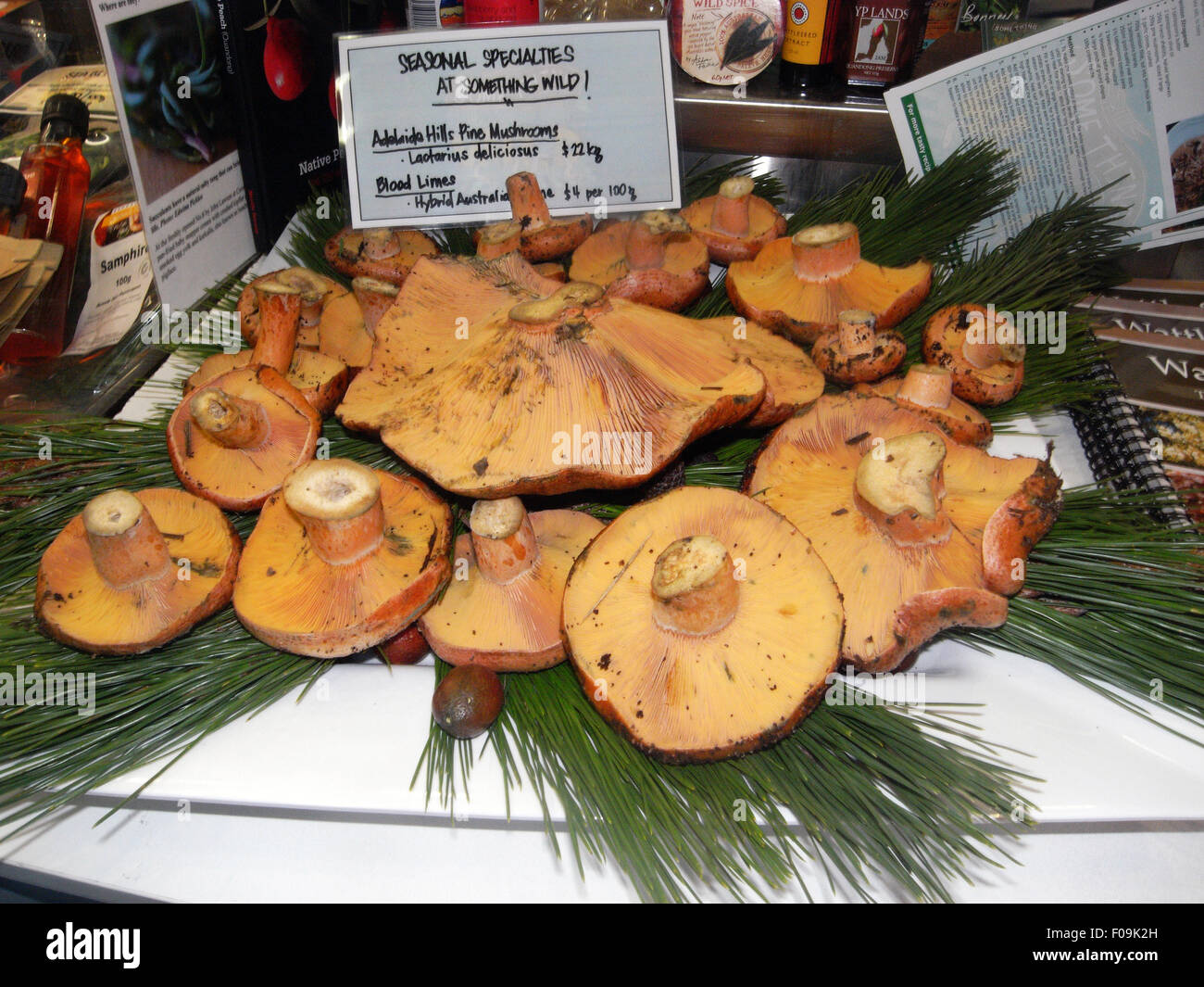 Adelaide central market mushrooms hires stock photography and images